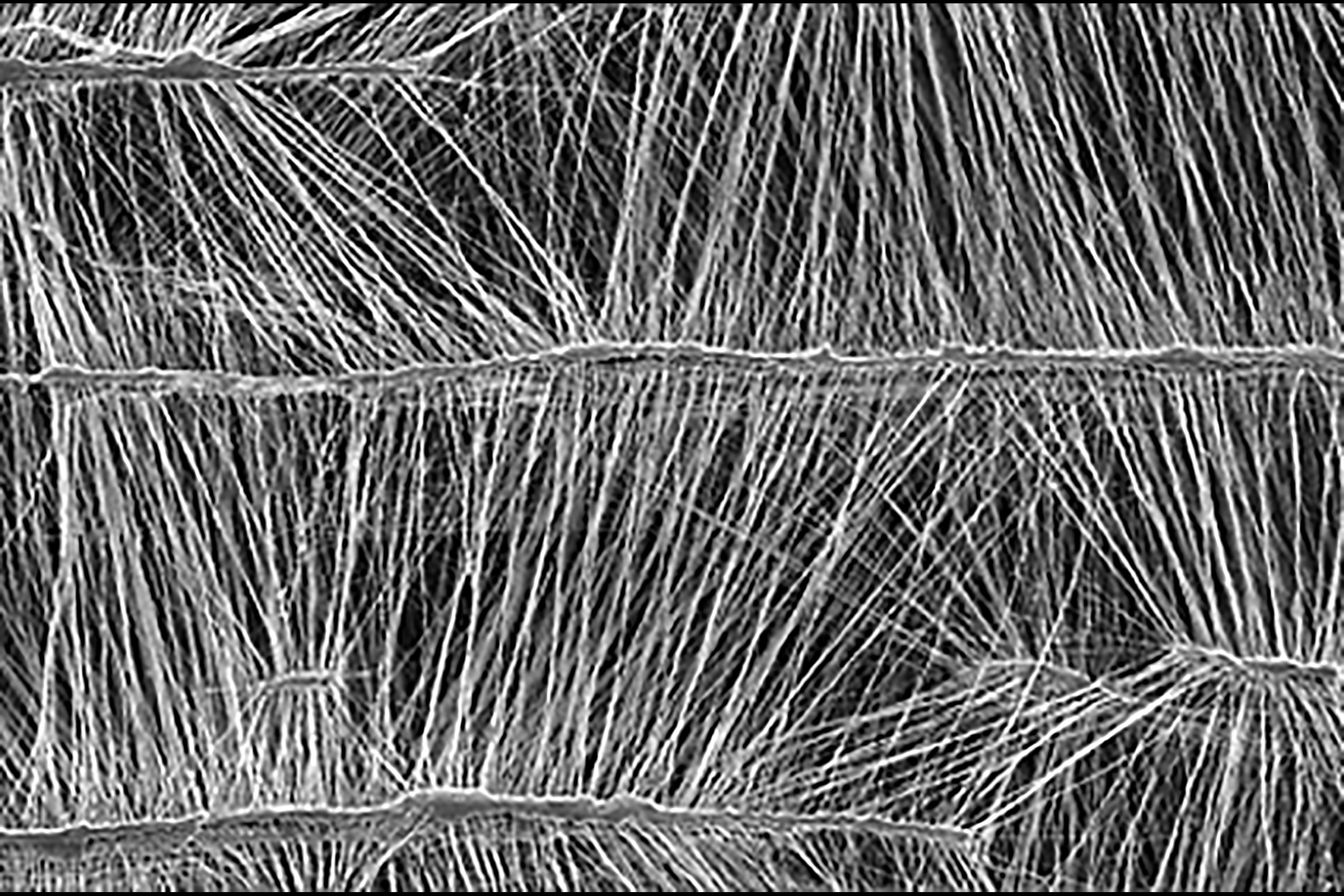 Membrane optimized for both airflow and durability