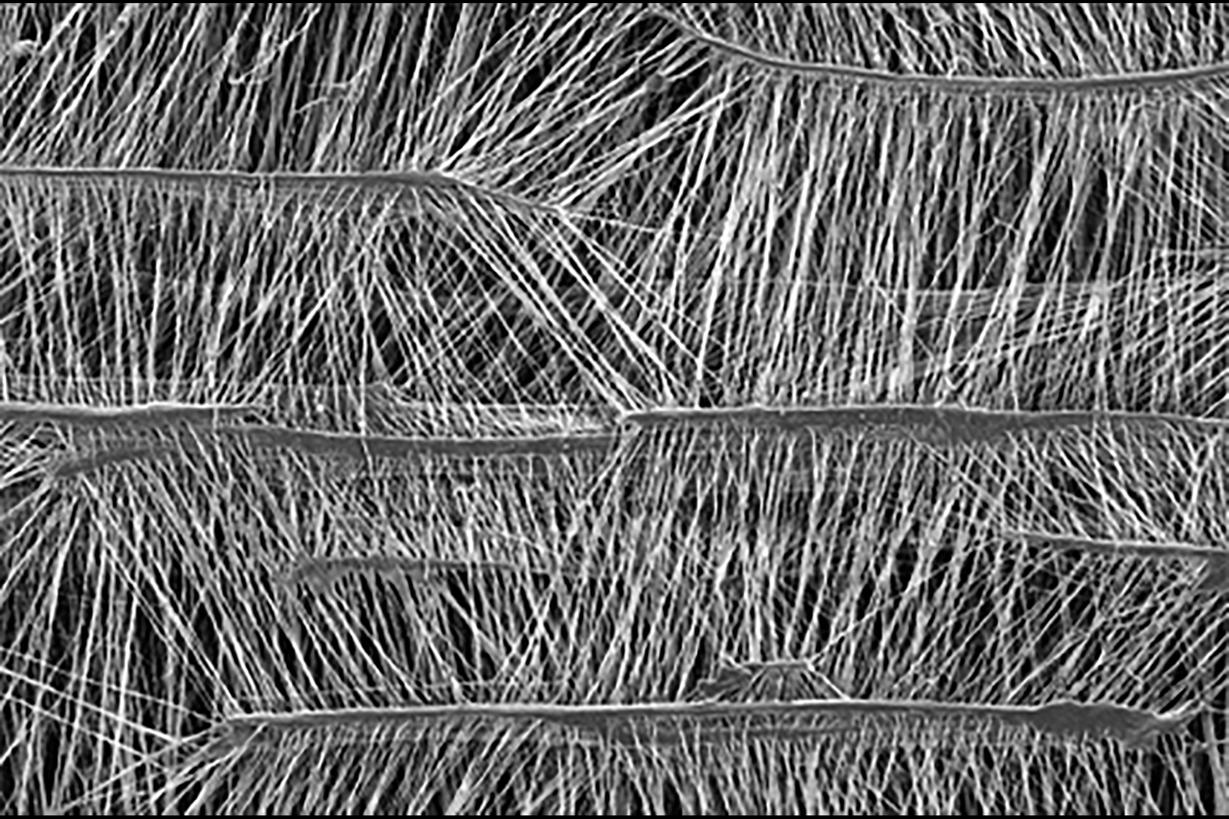 Membrane optimized for both durability and efficiency