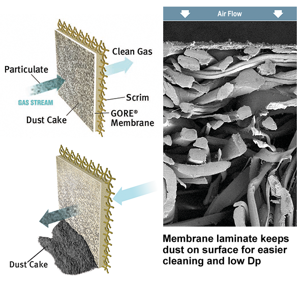 membrane