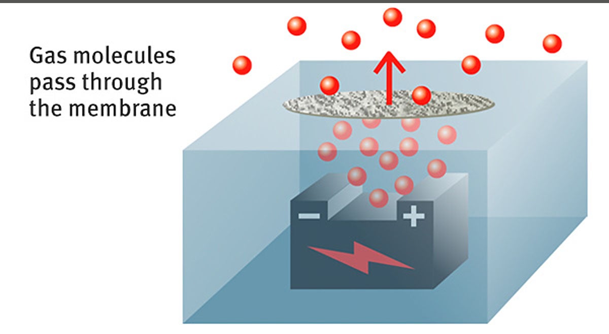 Gas molecules pass through the membrane