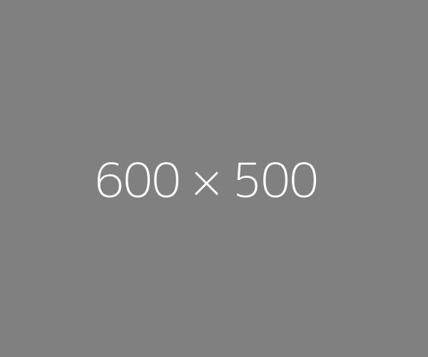 This is alt text for the Image