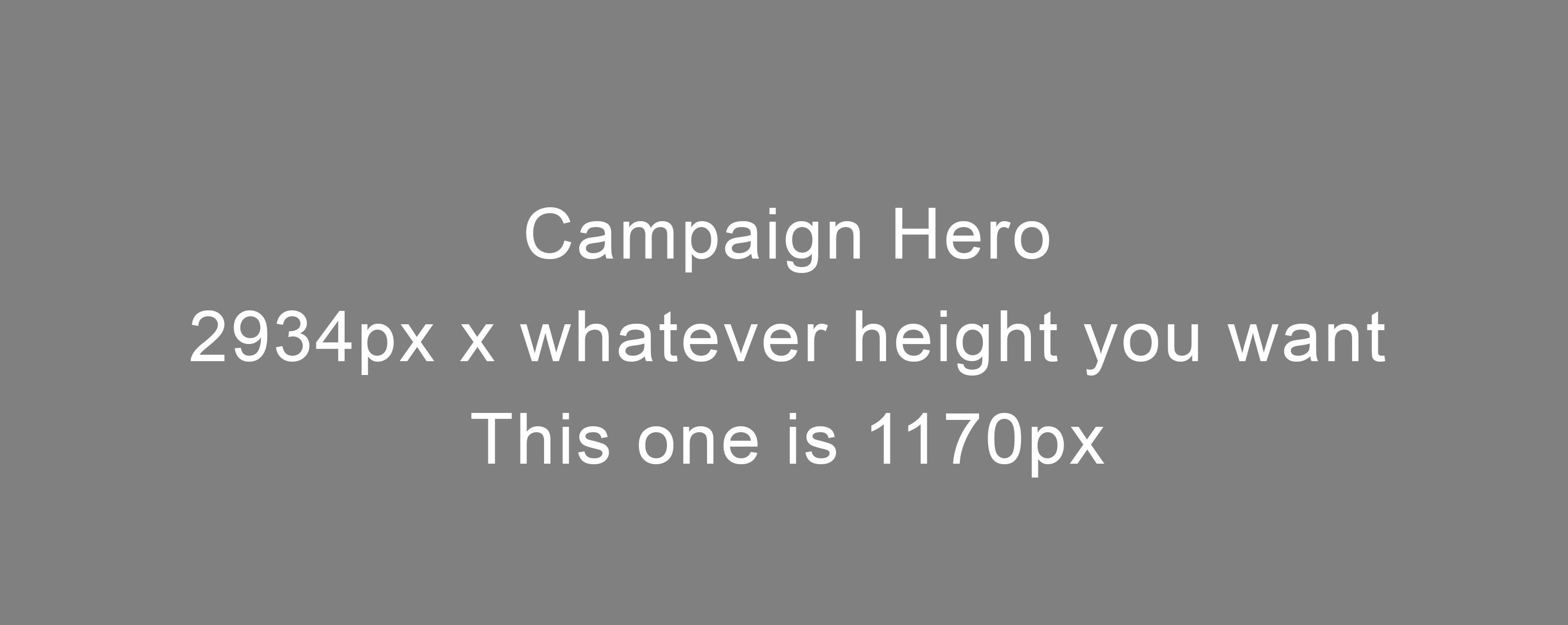 Campaign Hero Image