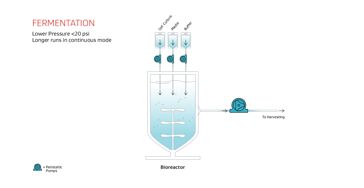 Fermentation Bioprocess Map