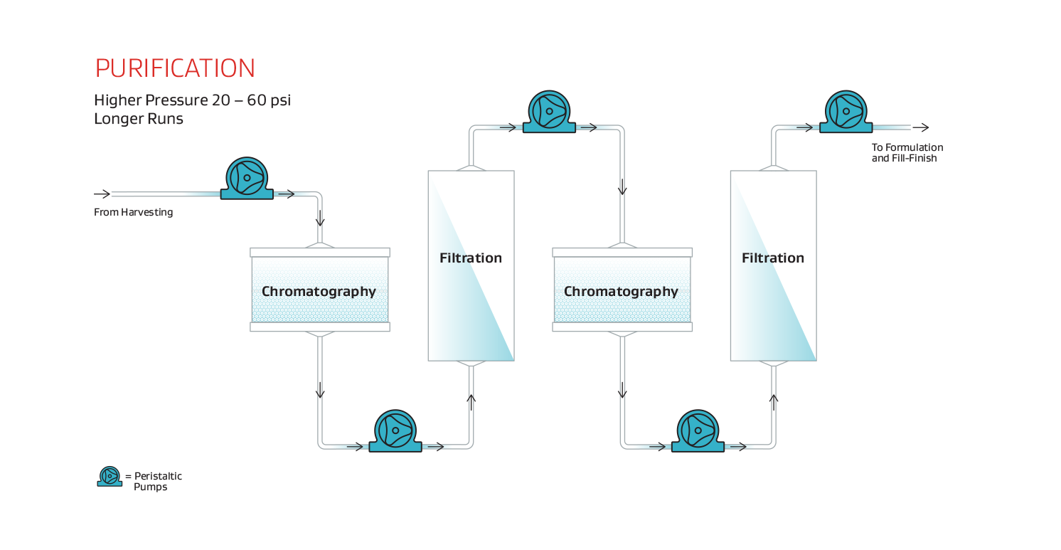 Purification Bioprocess Map