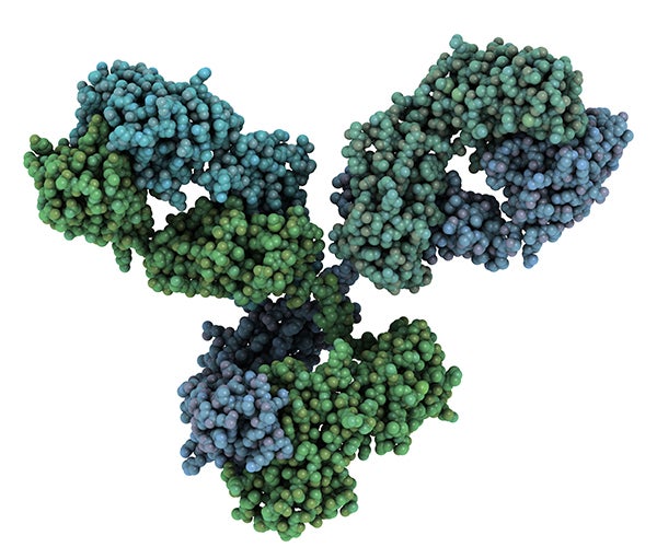 Render of microsopic monocolonal antibody in blue and green