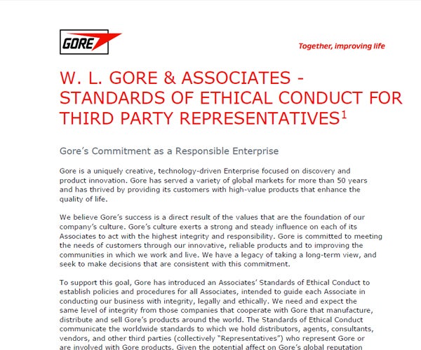 Standards of ethical conduct for third party representatives document in English