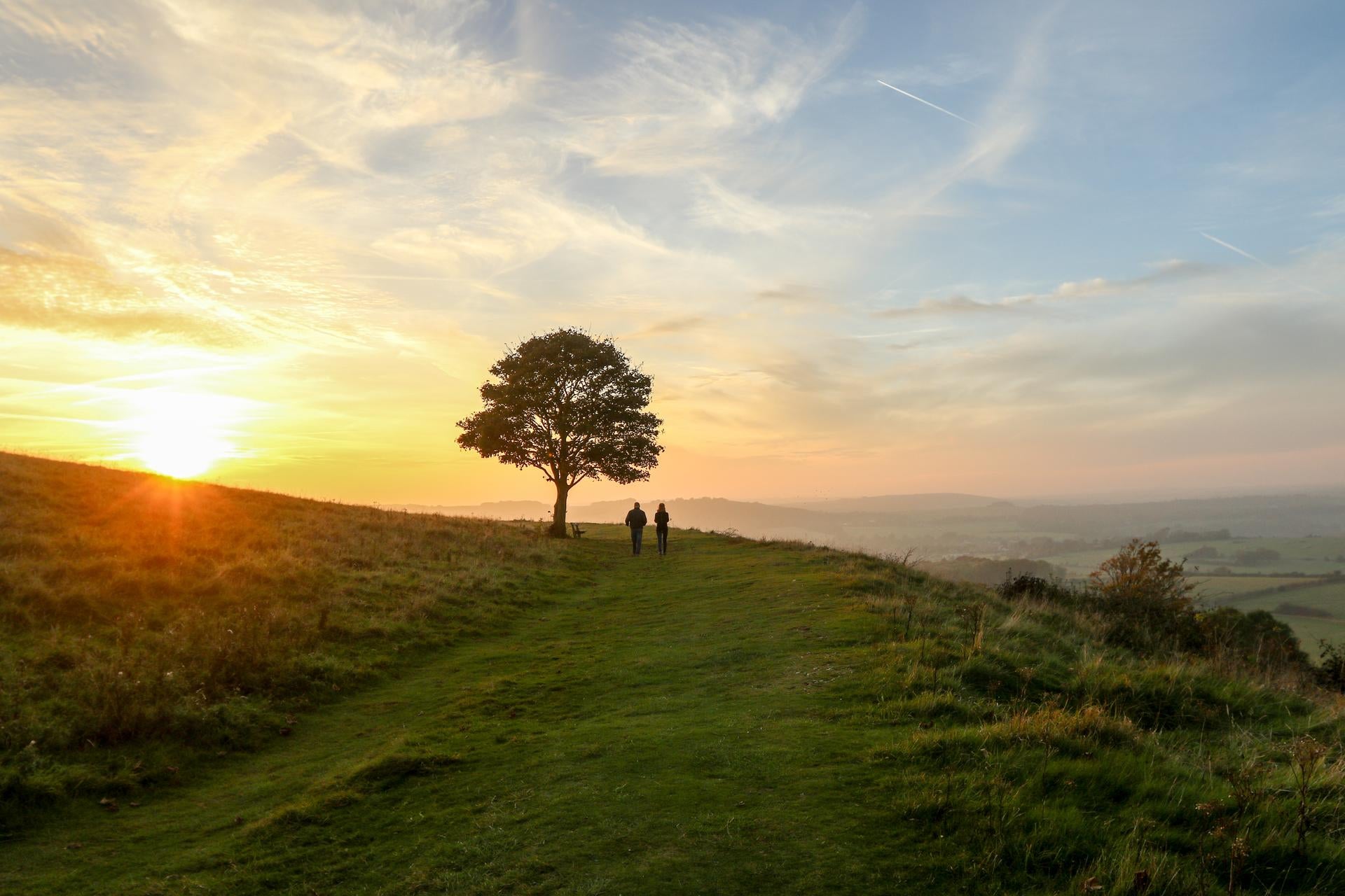 Image of two people standing in nature next to a tree looking at the sunset.