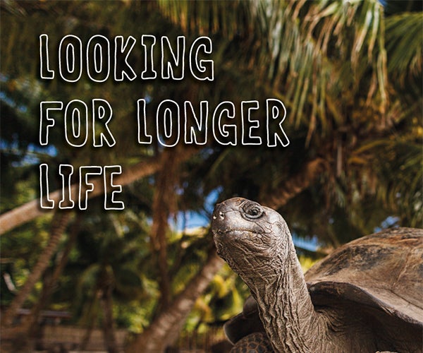 Article: Looking for longer life