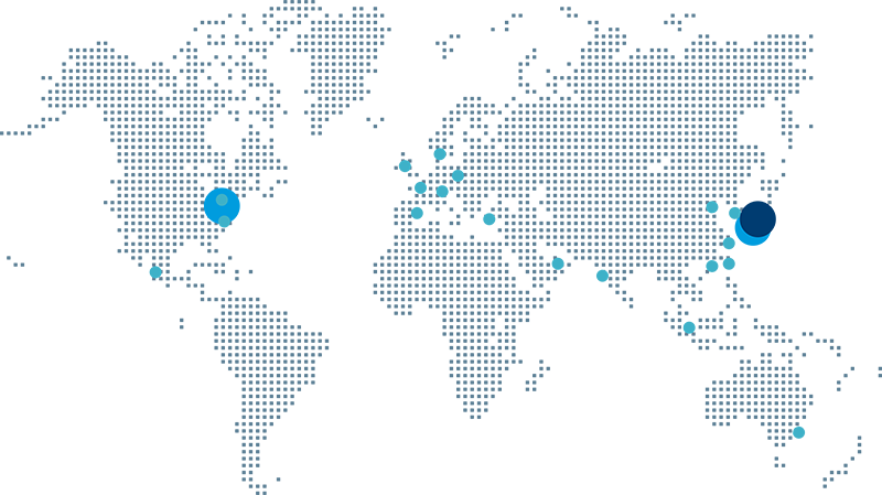 Gore's global network
