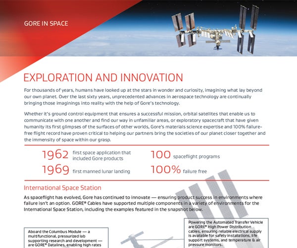 Screen shot of the first page of the Gore in Space Info Sheet