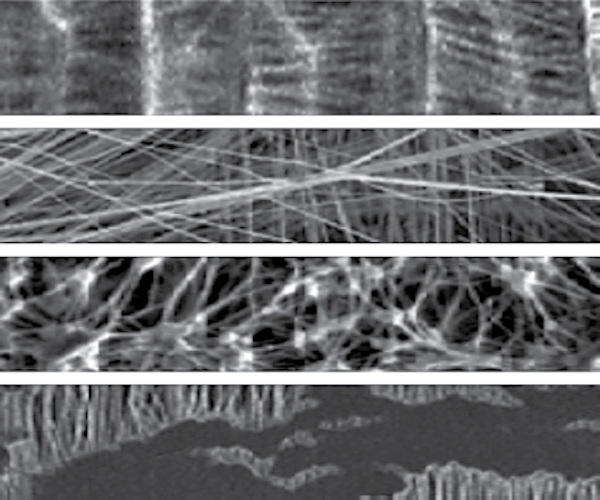 ePTFE construction of GORE® Acoustic Vents as seen under magnification