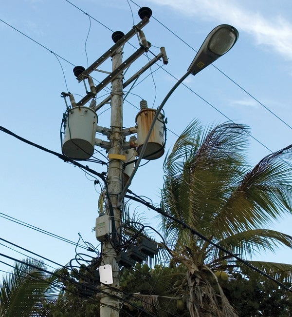 image of power and telephone lines over palm trees