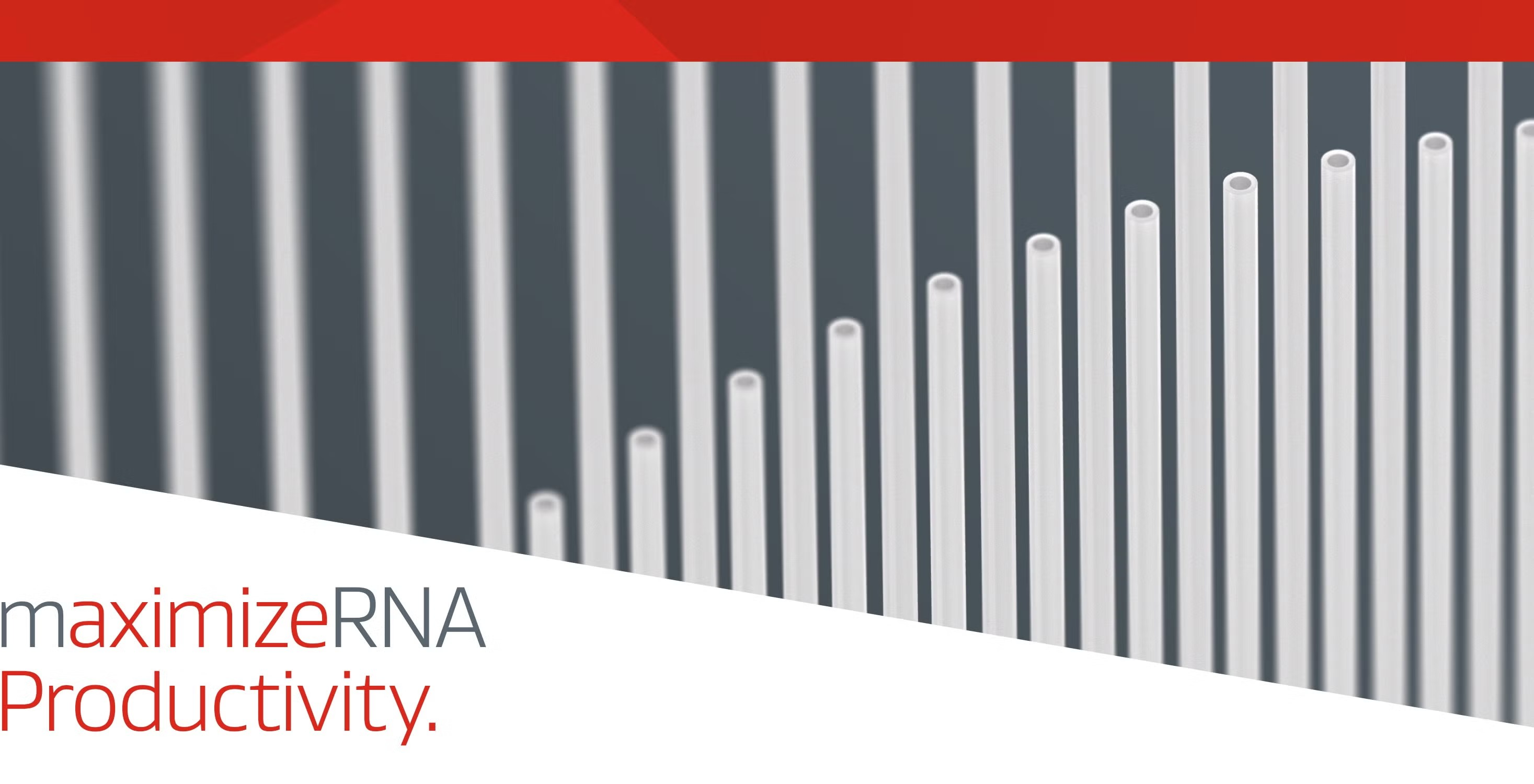 maximize rna productivity