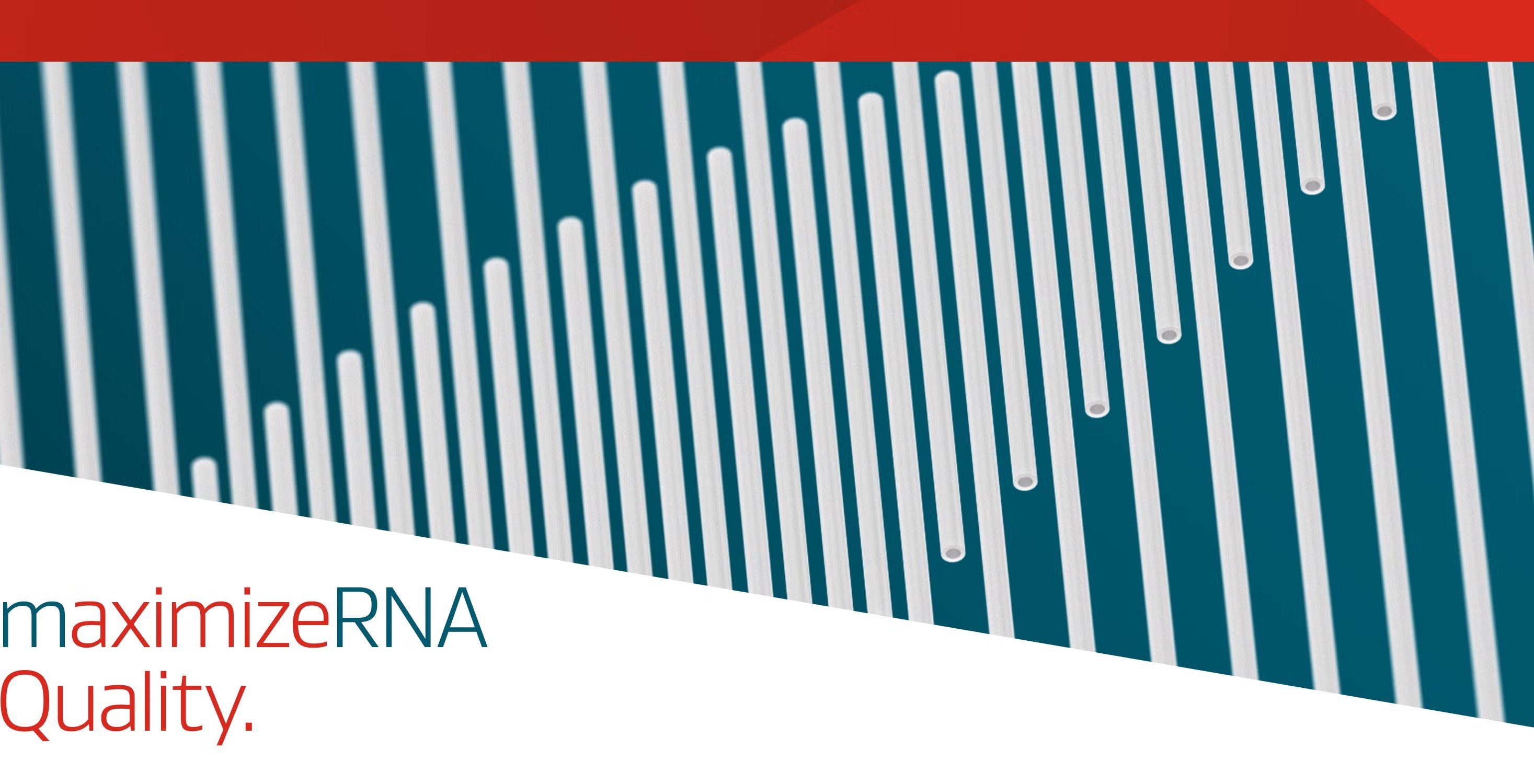 maximize rna quality