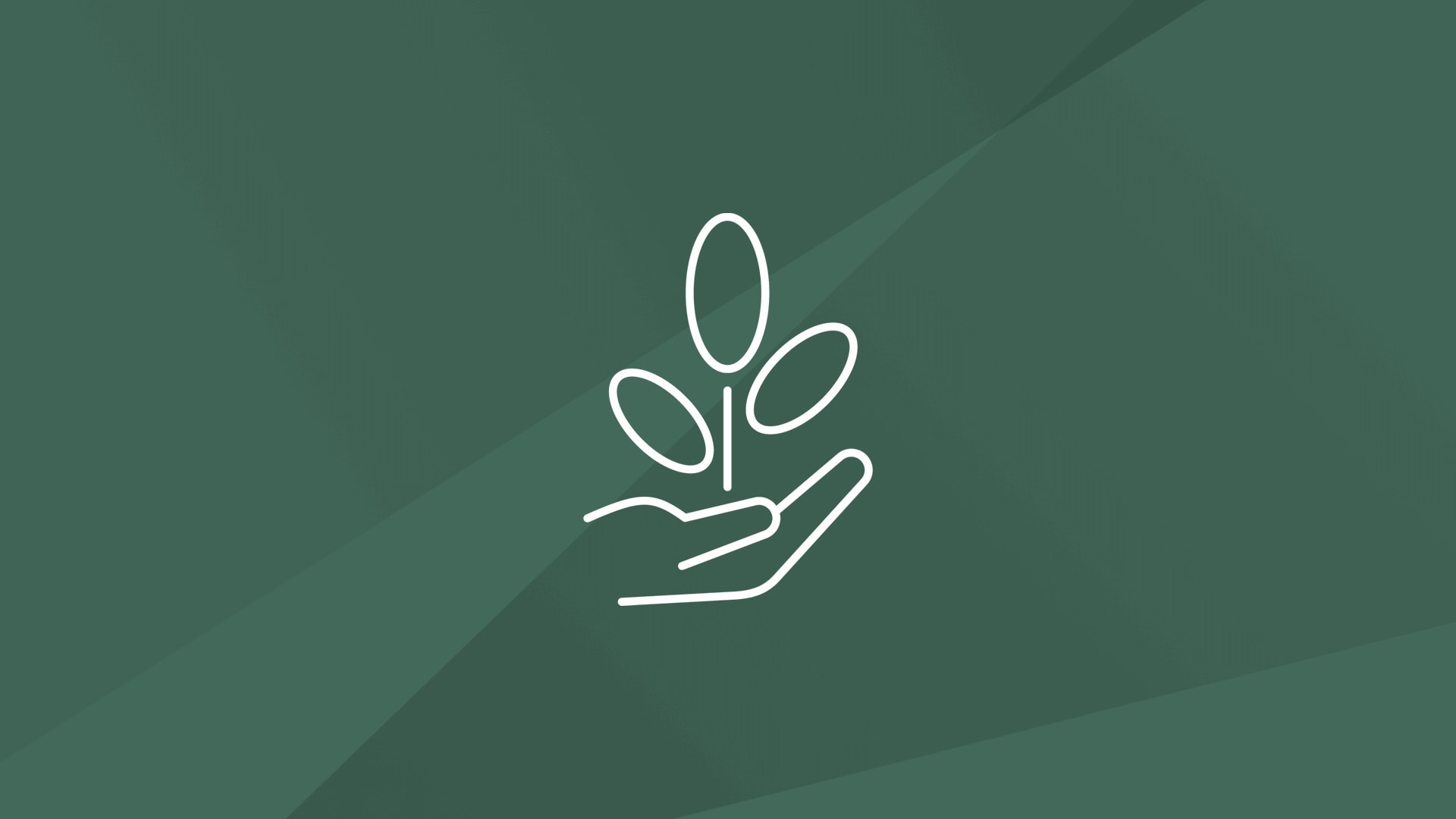 Icon showing a hand with a plant on it indicating eco-friendly