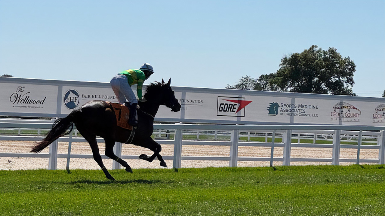 A jockey in green and yellow racing silks rides a galloping horse along a racetrack bordered by sponsor signage, including GORE and Cecil County Maryland logos.