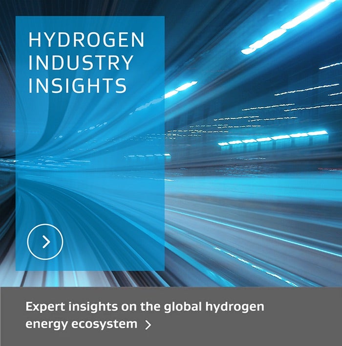 Expert insights on the global hydrogen energy ecosystem