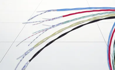 Gore space cables type lew