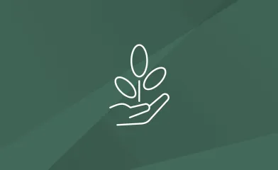 Icon showing a hand with a plant on it indicating eco-friendly