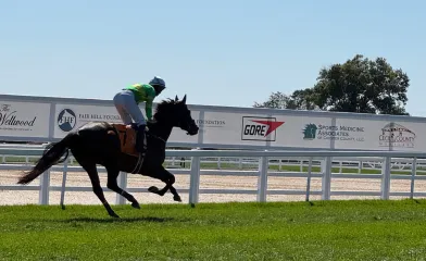 A jockey in green and yellow racing silks rides a galloping horse along a racetrack bordered by sponsor signage, including GORE and Cecil County Maryland logos.