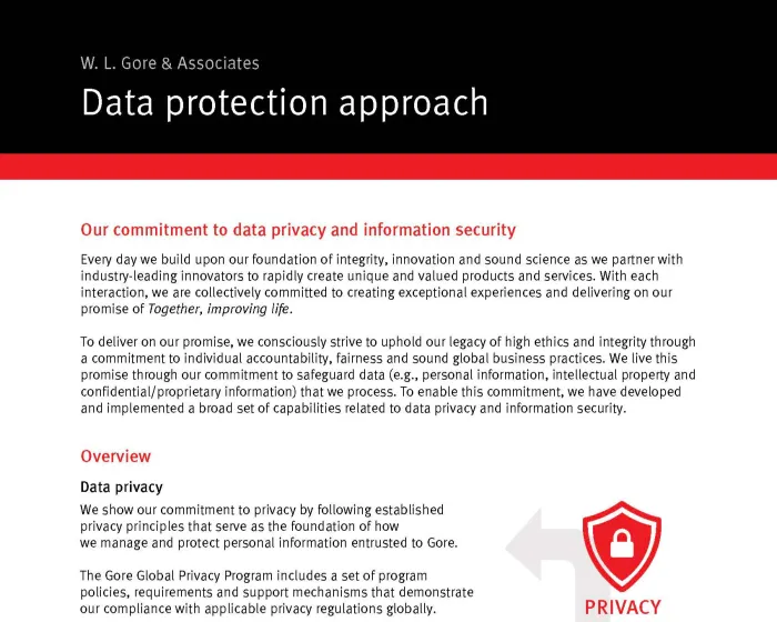 First page of data protection approach