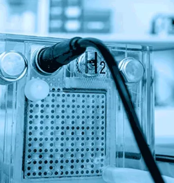 Fuel cells