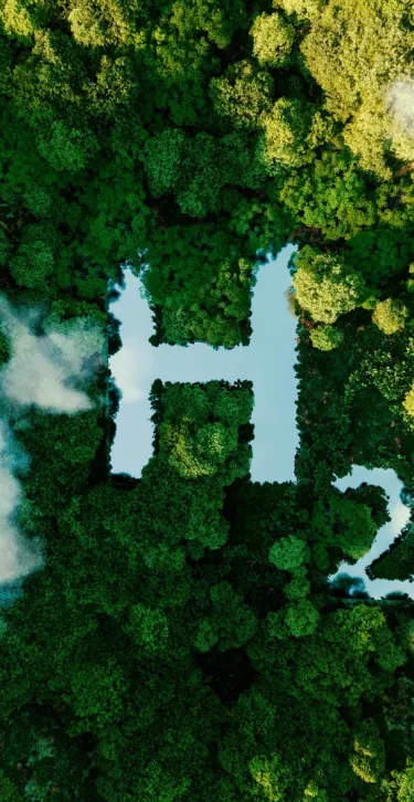 Stylistic H2 in a forest with clouds.