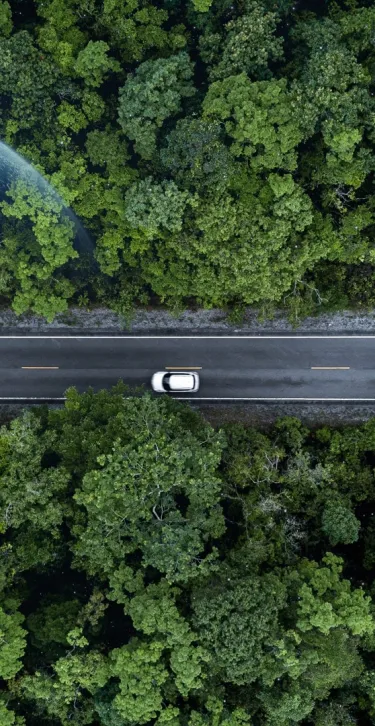 A car driving on a road with foliage. A stylistic earth is placed along the road.