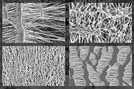 Gore Membrane